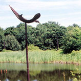 Bird in Flight