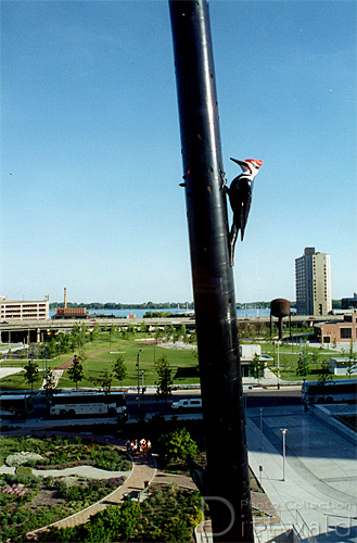 Woodpecker Column