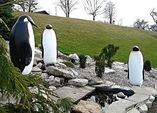 Penguins