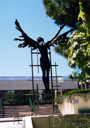 The Winged Man