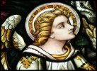 web_st_james_cathedral_556.jpg